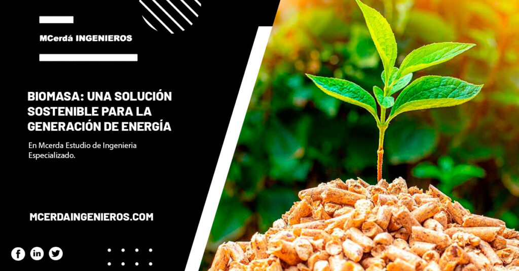 Biomasa